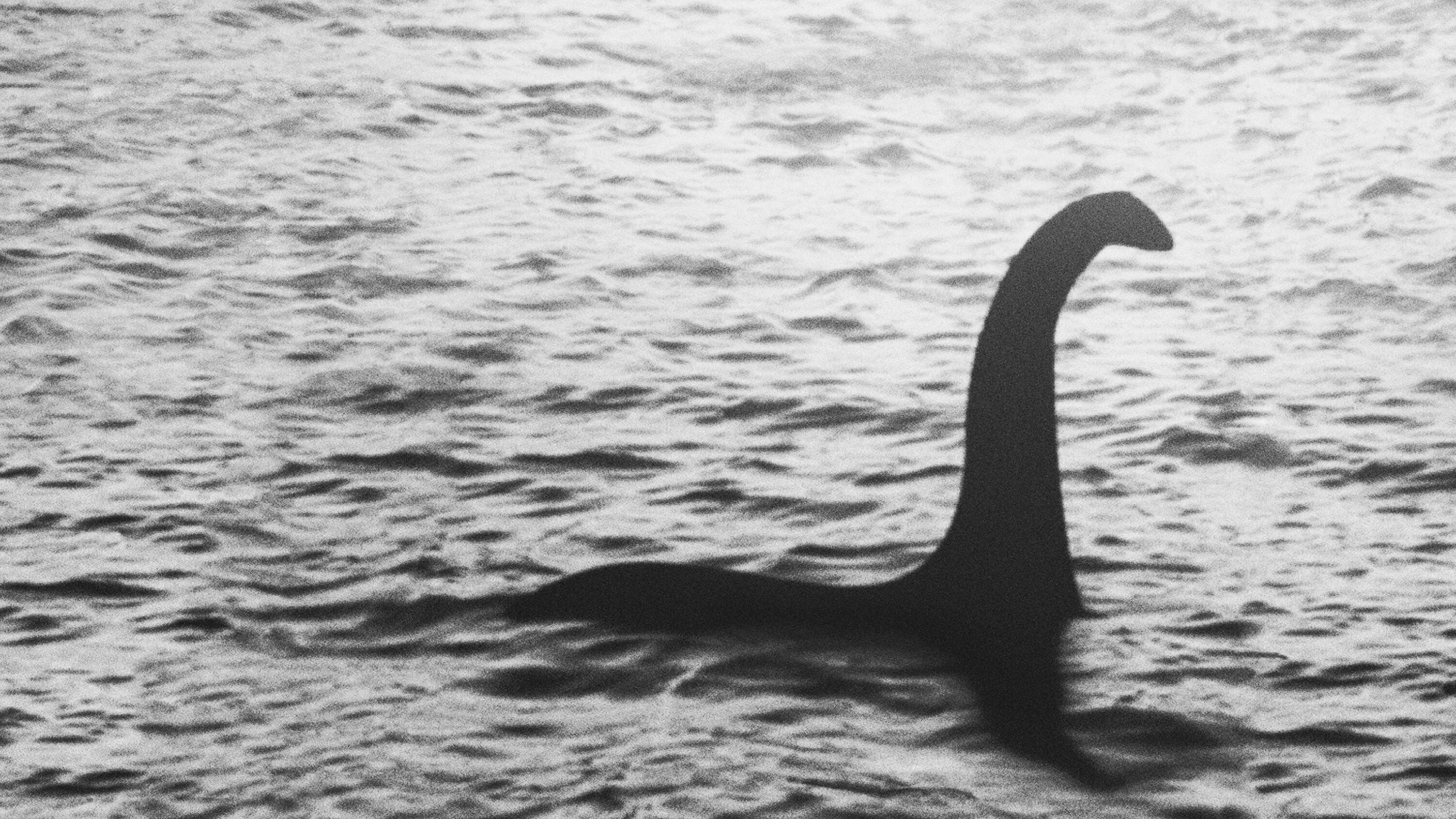 Das Monster von Loch Ness: Neue Spuren