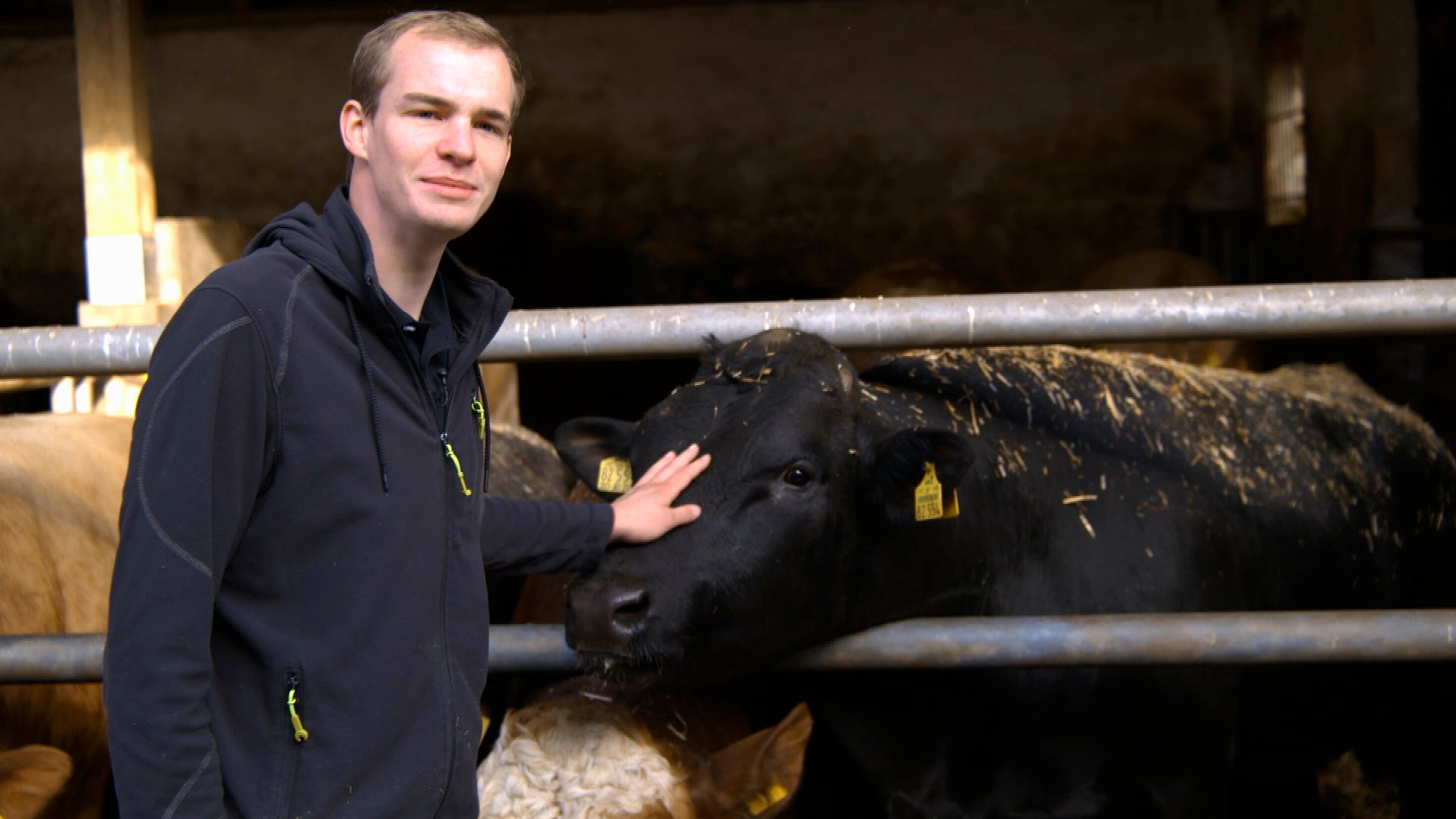 Boss Junior – Die nächste Generation übernimmt