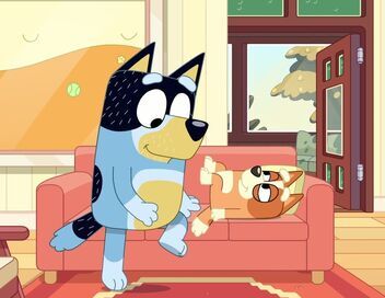 Bluey Minisodes