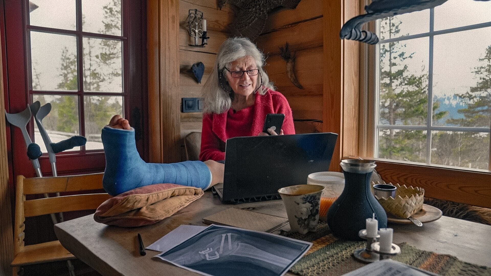 Nyt blod i dyreparken