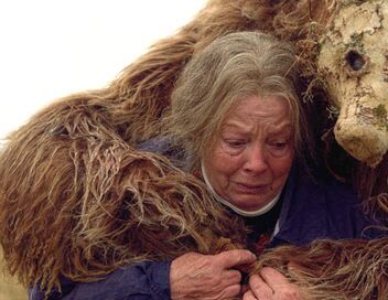 A Bear Remembers