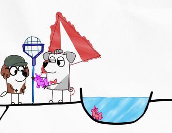 Bluey Minisodes