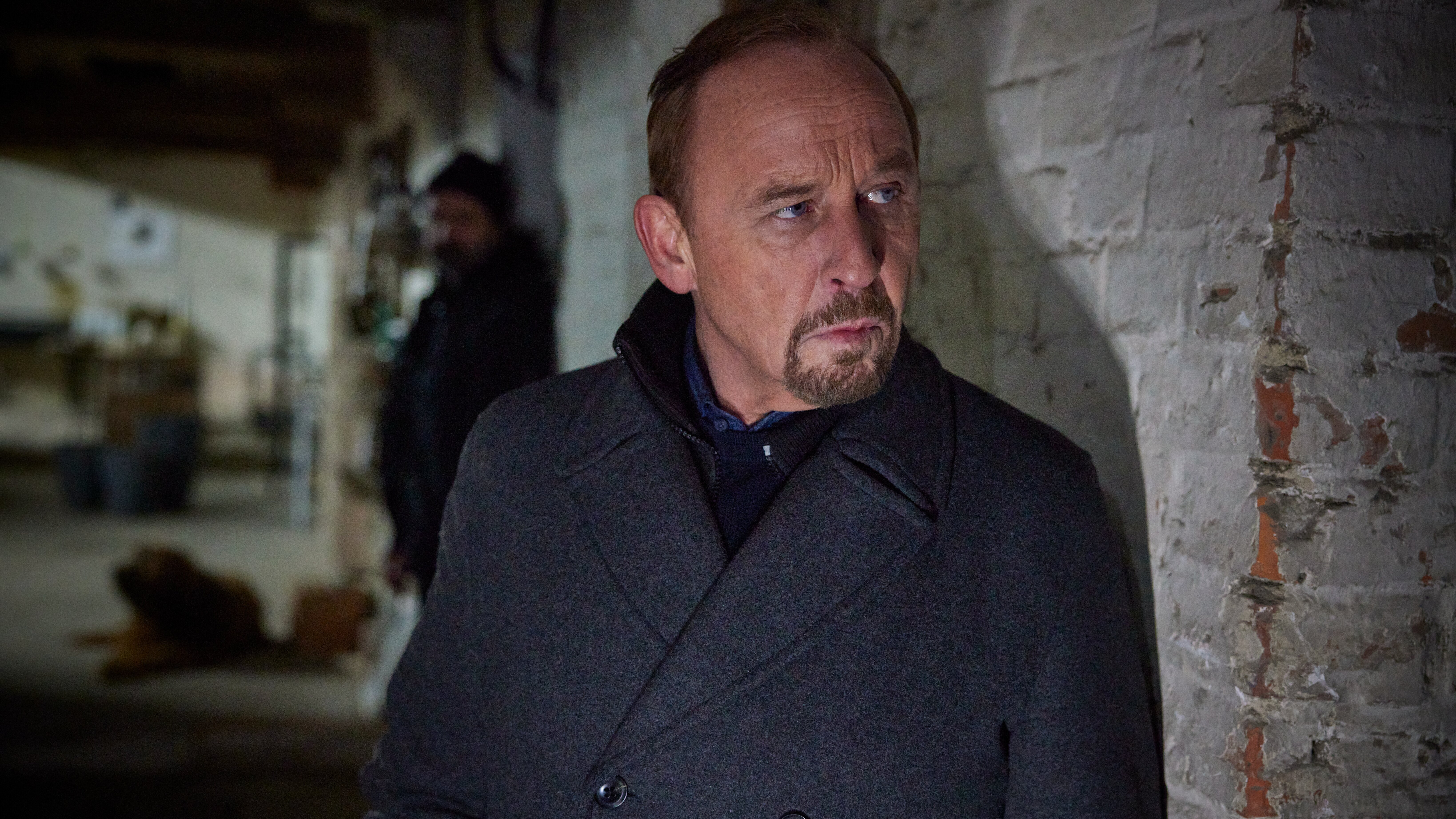 Stralsund – Kaltes Blut