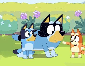 Bluey