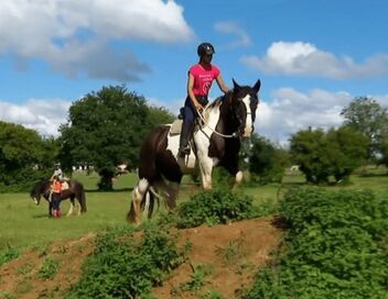 Au galop ! Une saison à cheval