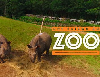 Une saison au zoo