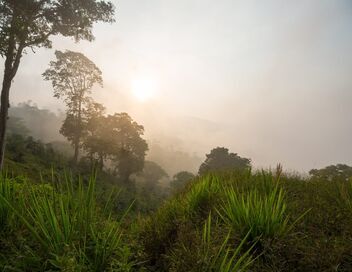 Baroudeurs : 28 jours dans l'enfer vert du Honduras