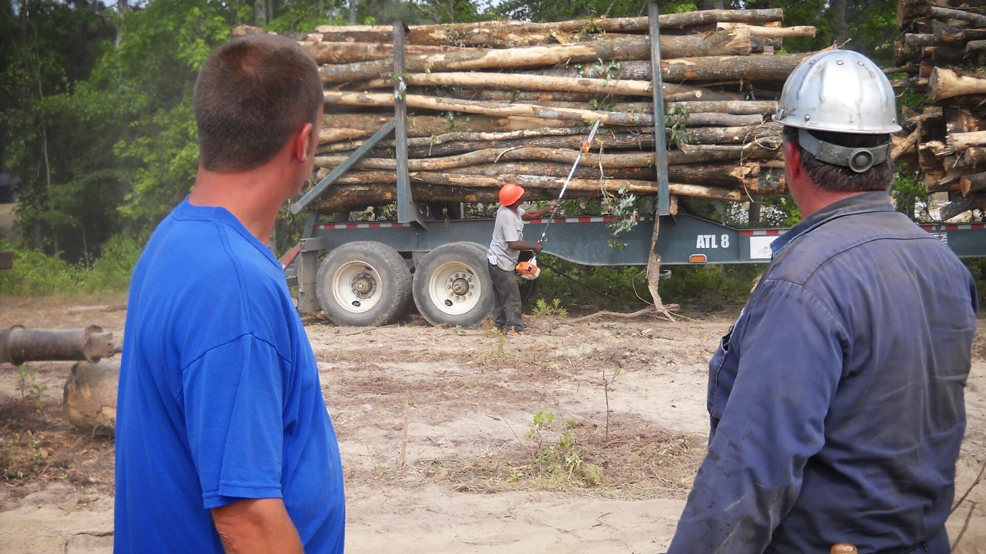 Holzfäller extrem