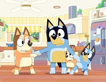Bluey