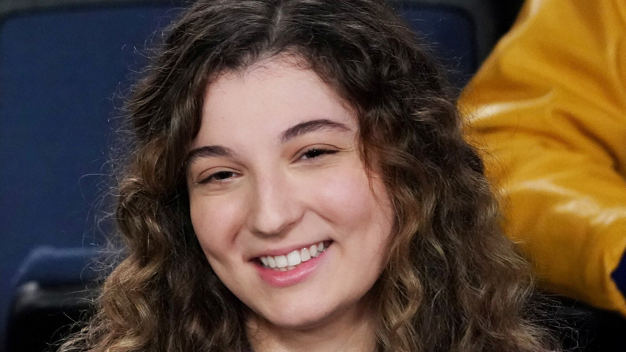 Die Goldbergs