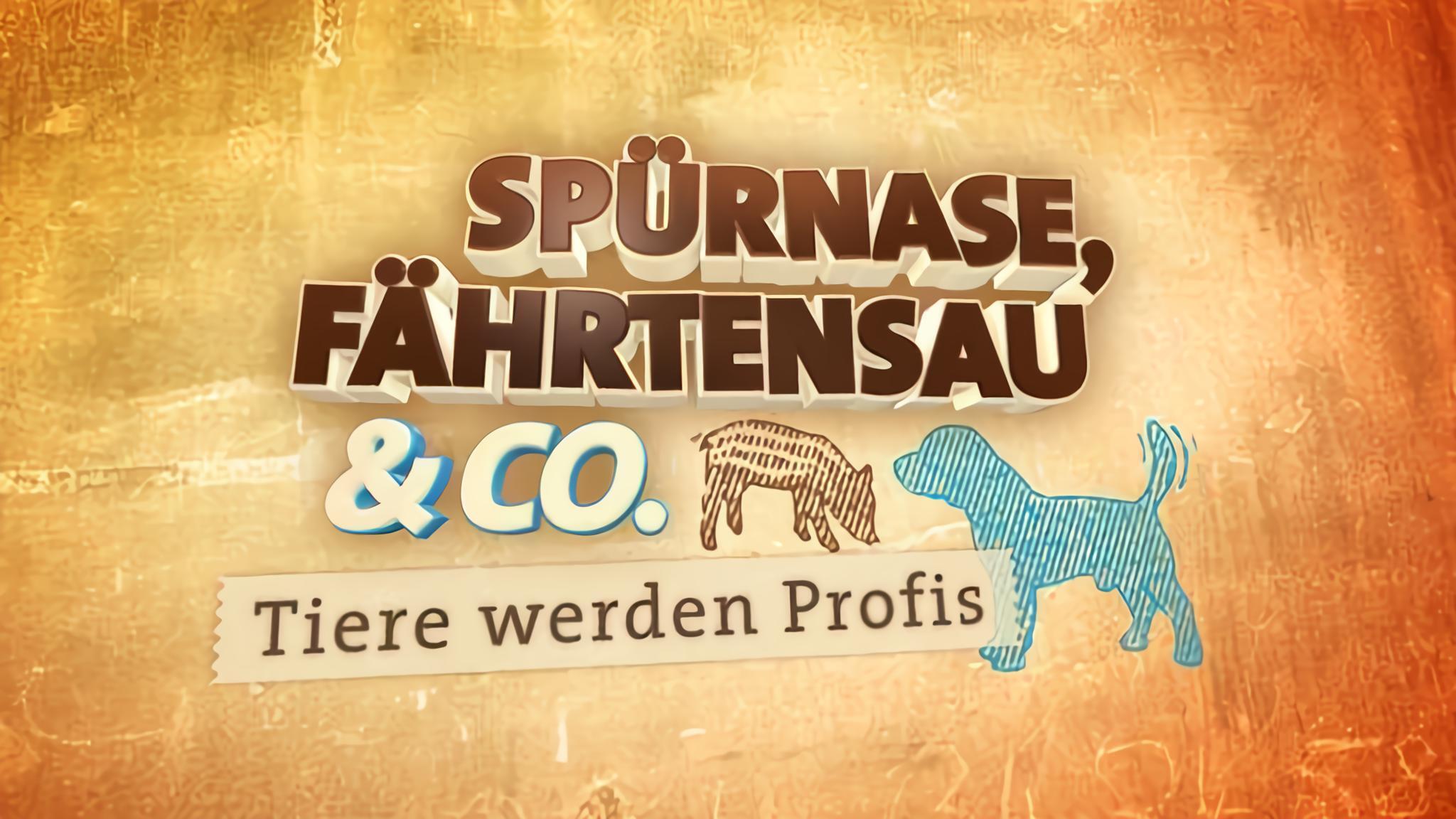 Spürnase, Fährtensau & Co.