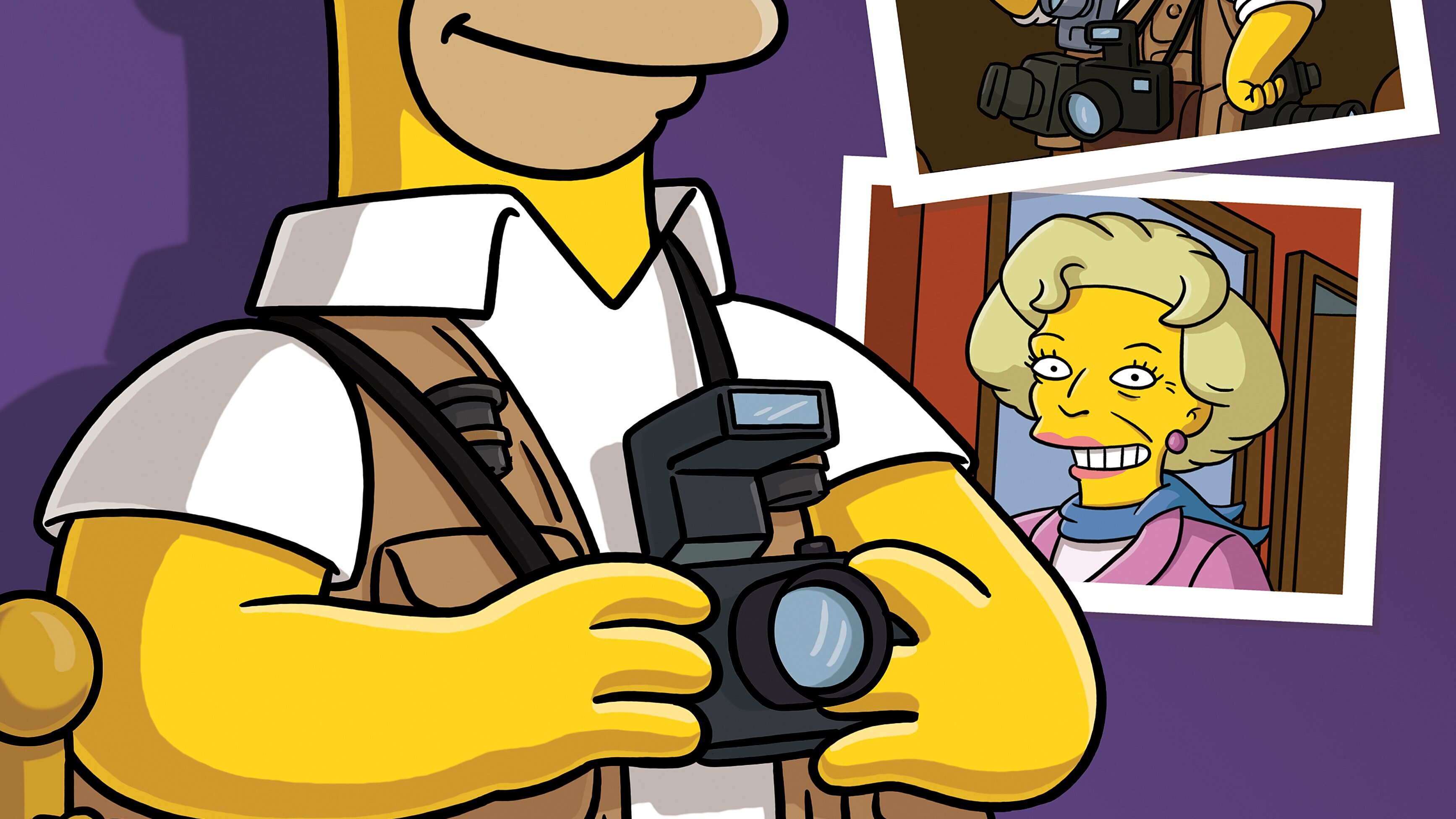 Die Simpsons
