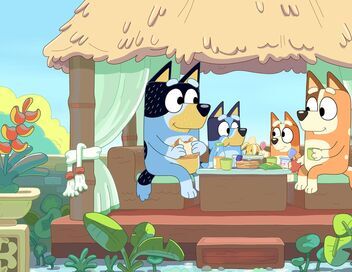 Bluey