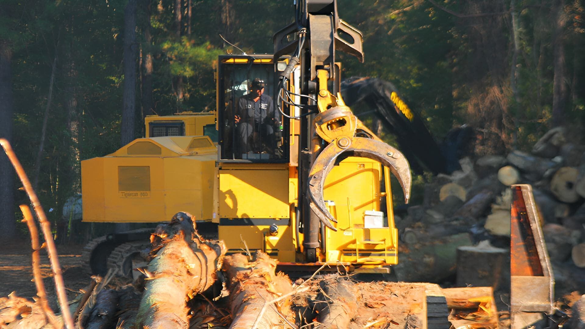 Holzfäller extrem
