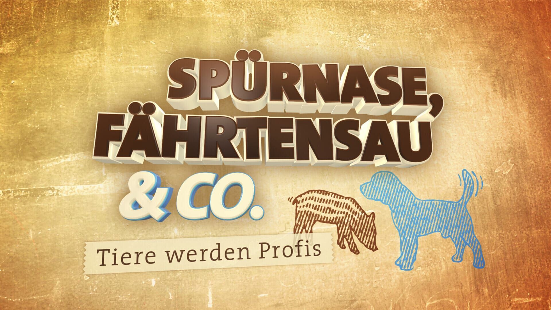 Spürnase, Fährtensau & Co.