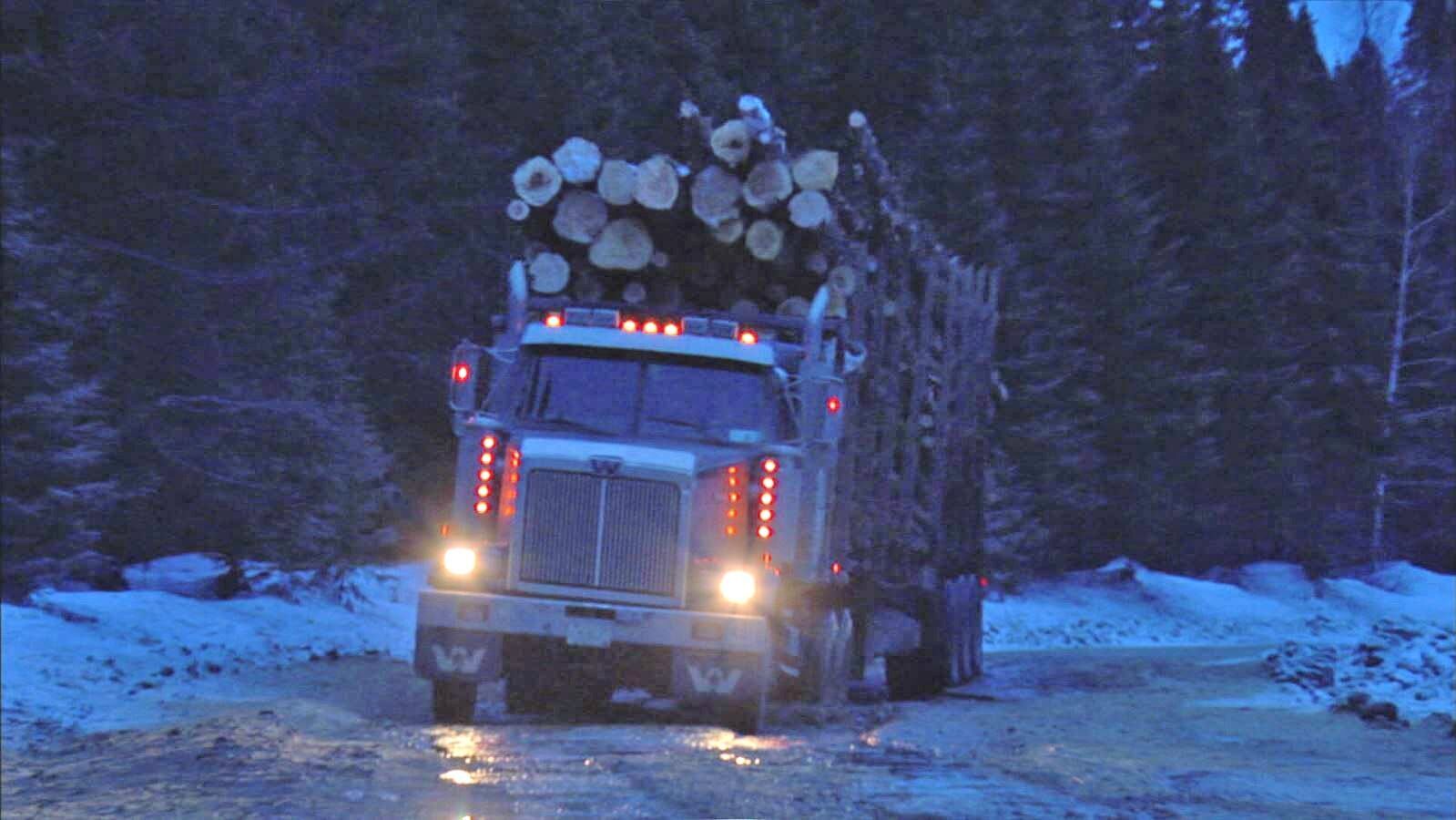 Holzfäller extrem