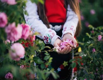 L'or rose bulgare : quel avenir ?