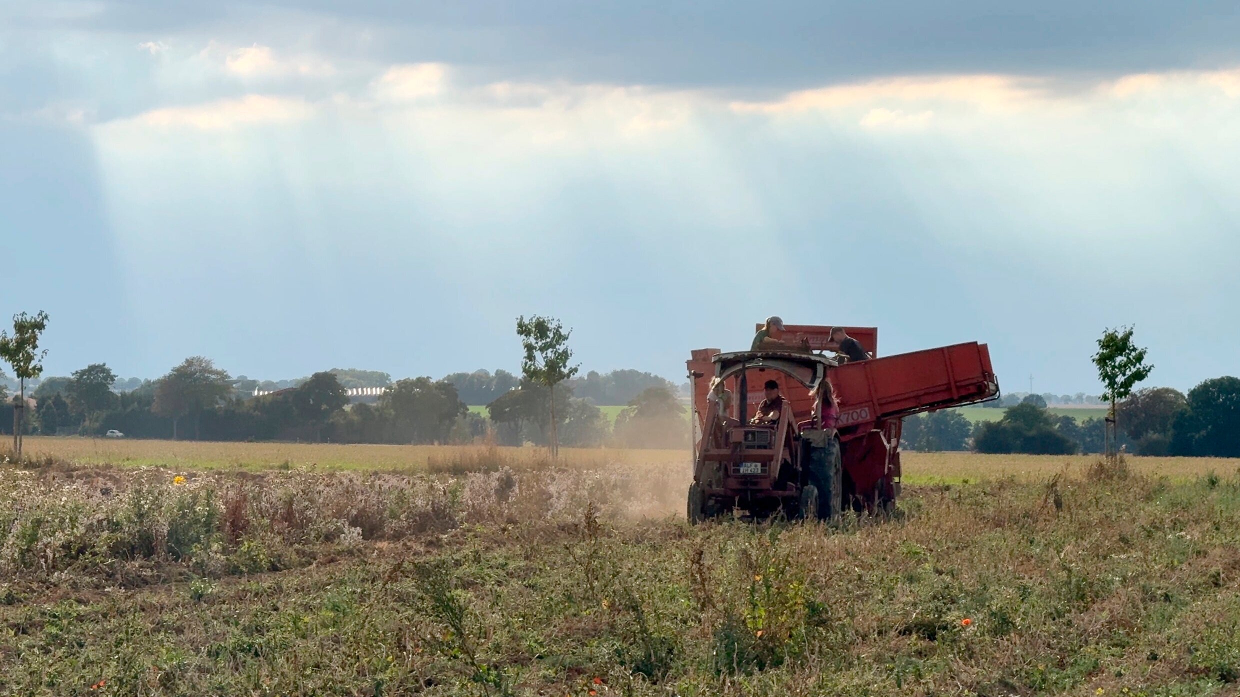 Unsere eigene Farm – Hier blüht uns was!