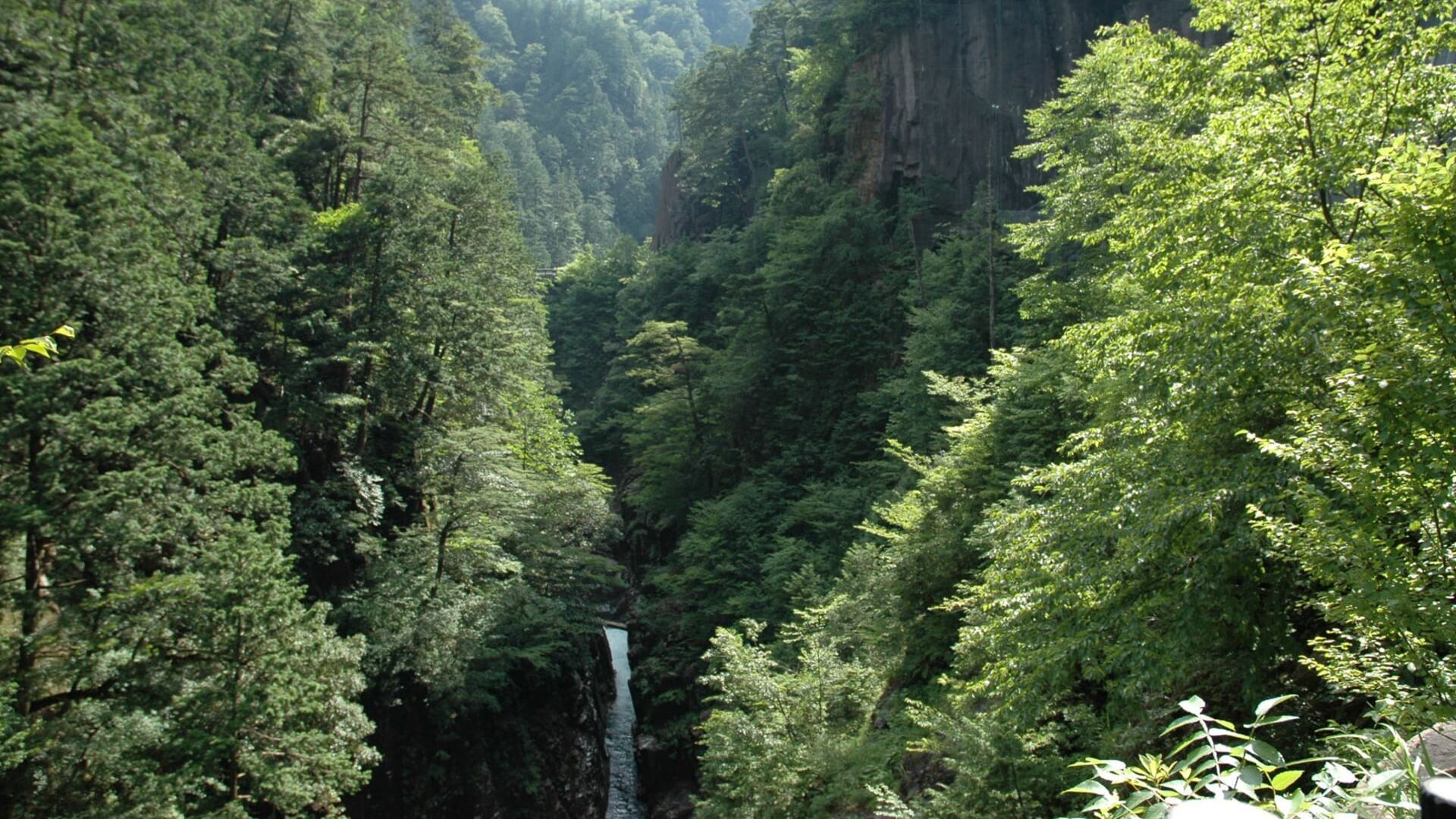 Wilde Inseln