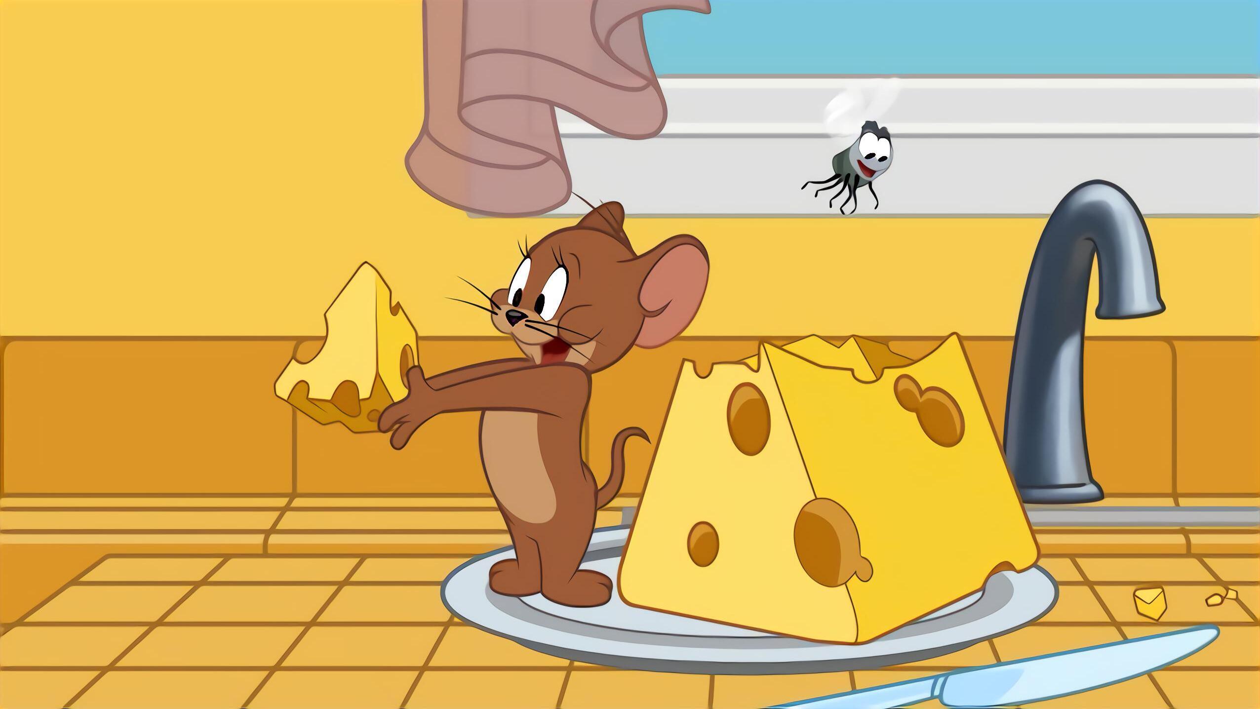 Die Tom und Jerry Show