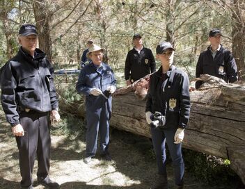NCIS