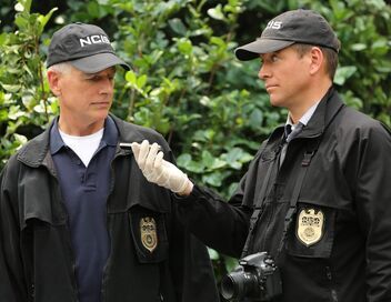 NCIS