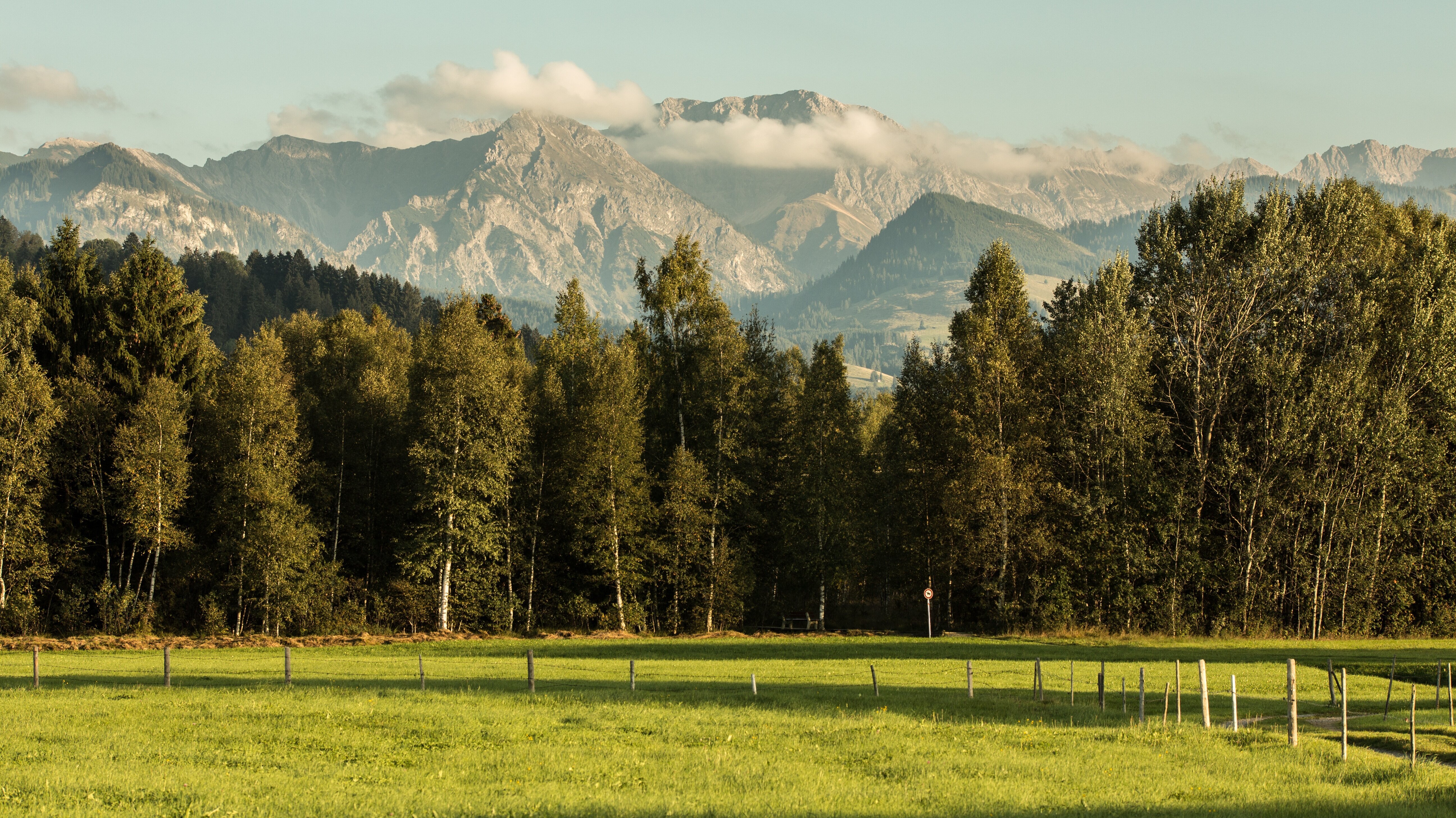Natur im Alpenvorland
