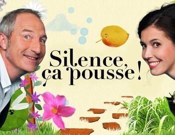 Silence, ça pousse !