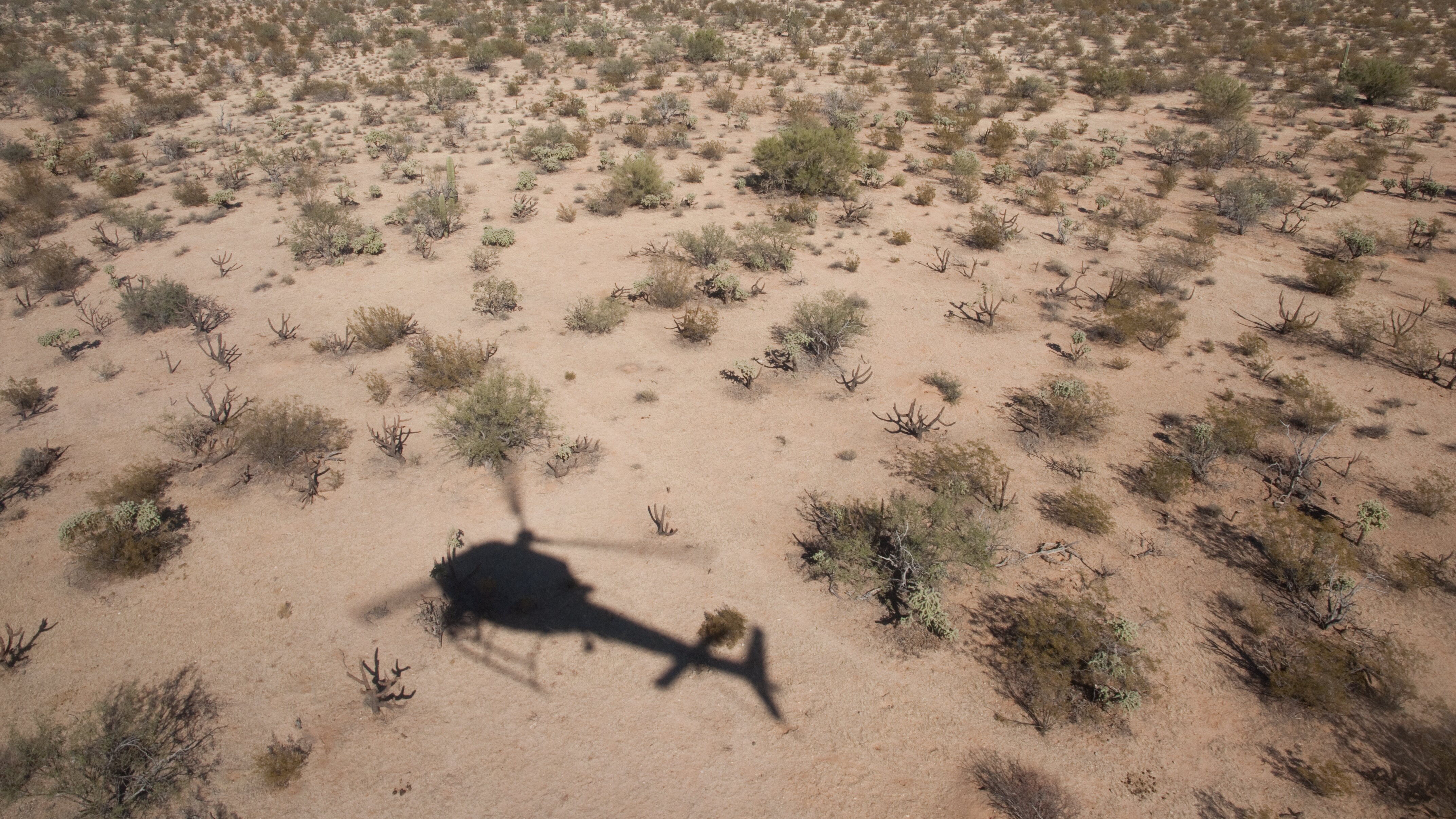 Border Wars: Amerikas heiße Grenze