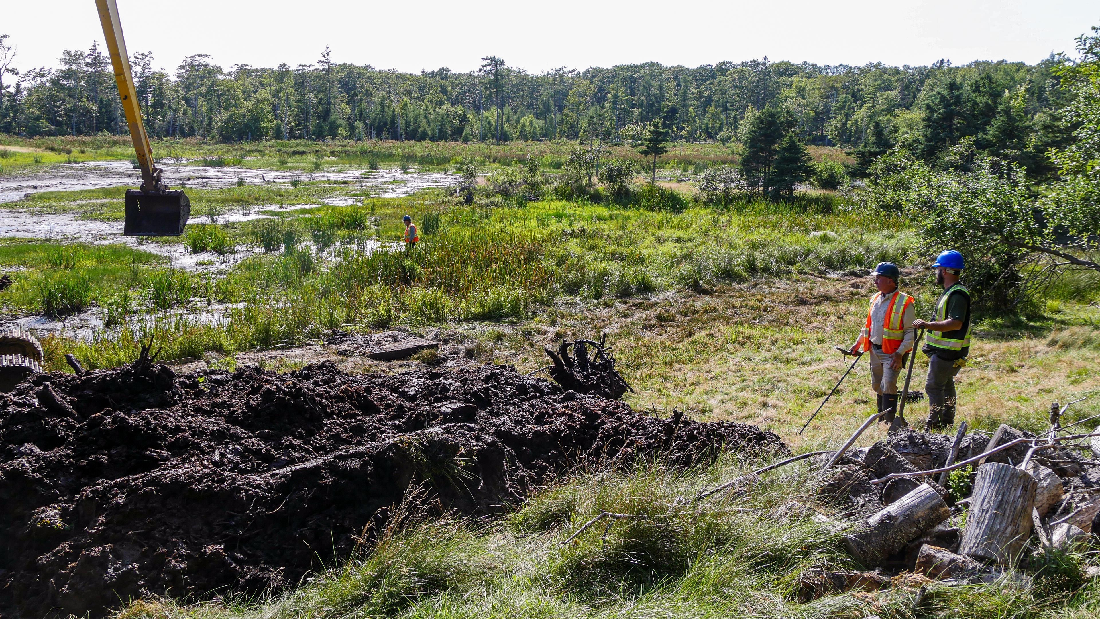 Die Schatzsucher von Oak Island