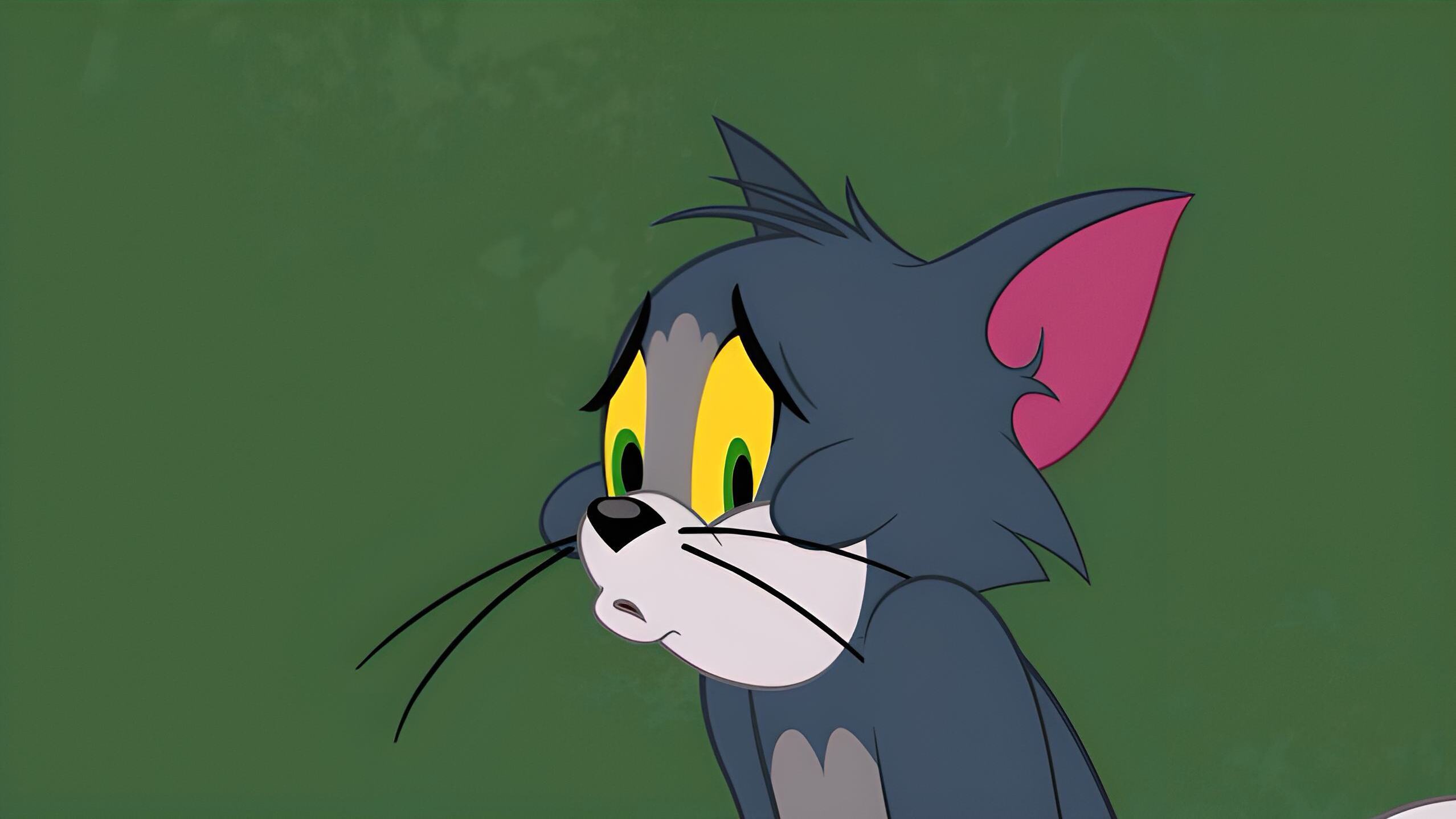 Die Tom und Jerry Show
