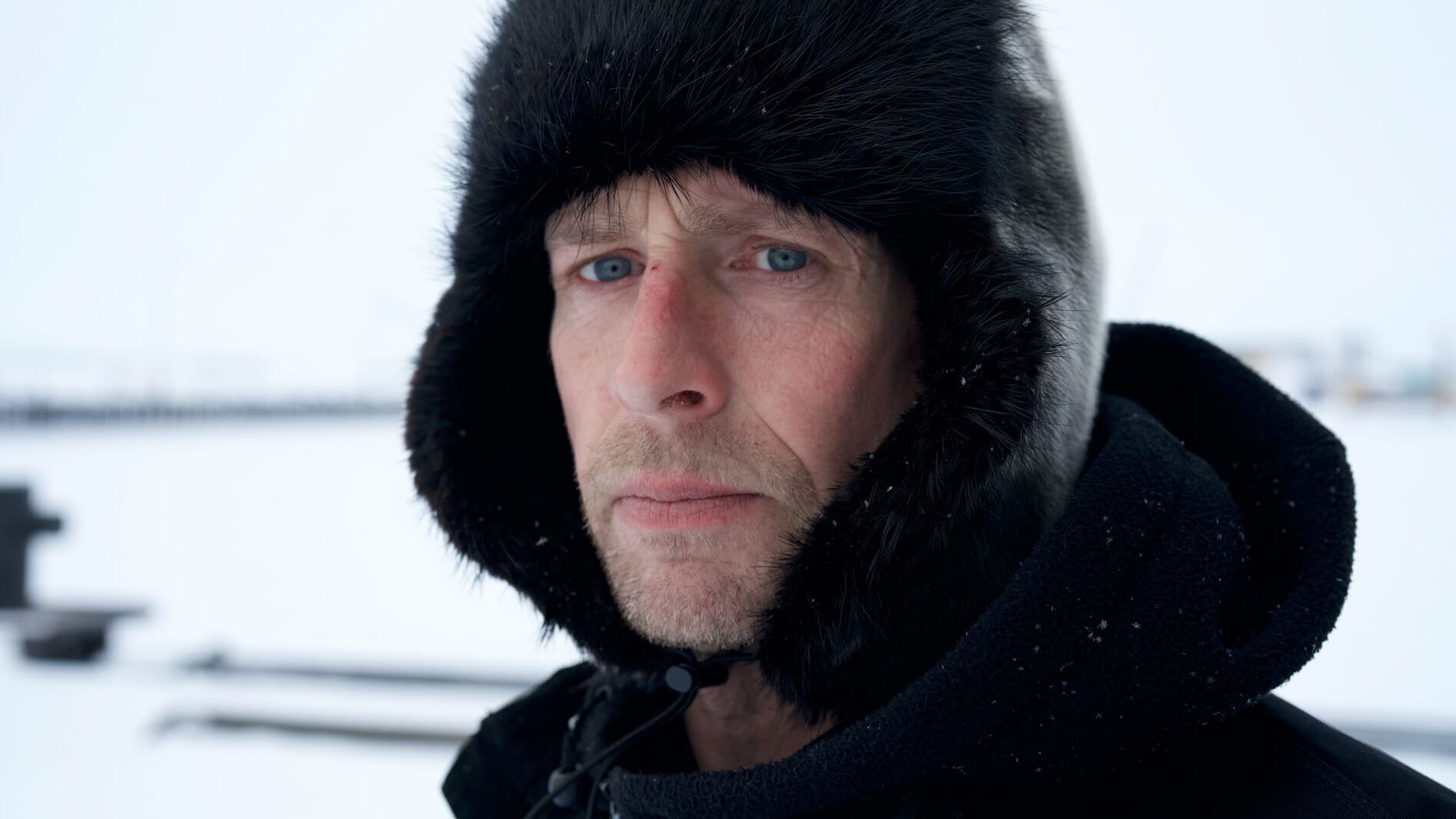 Goldtaucher der Beringsee