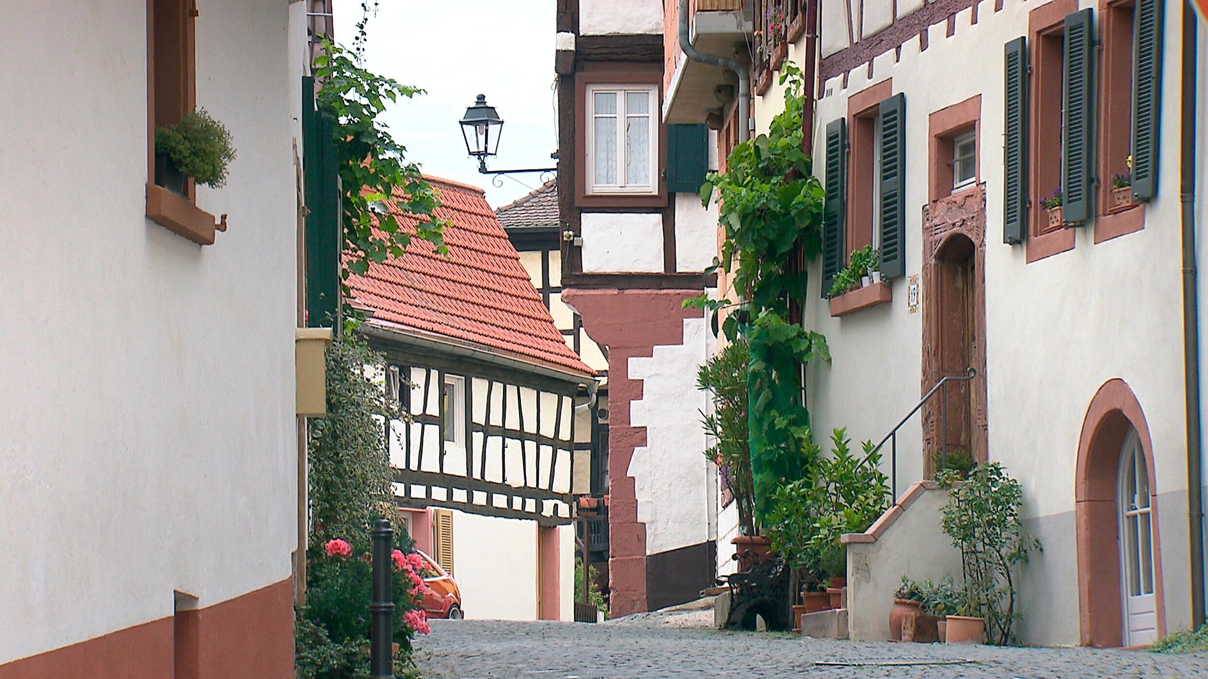 Expedition in die Heimat