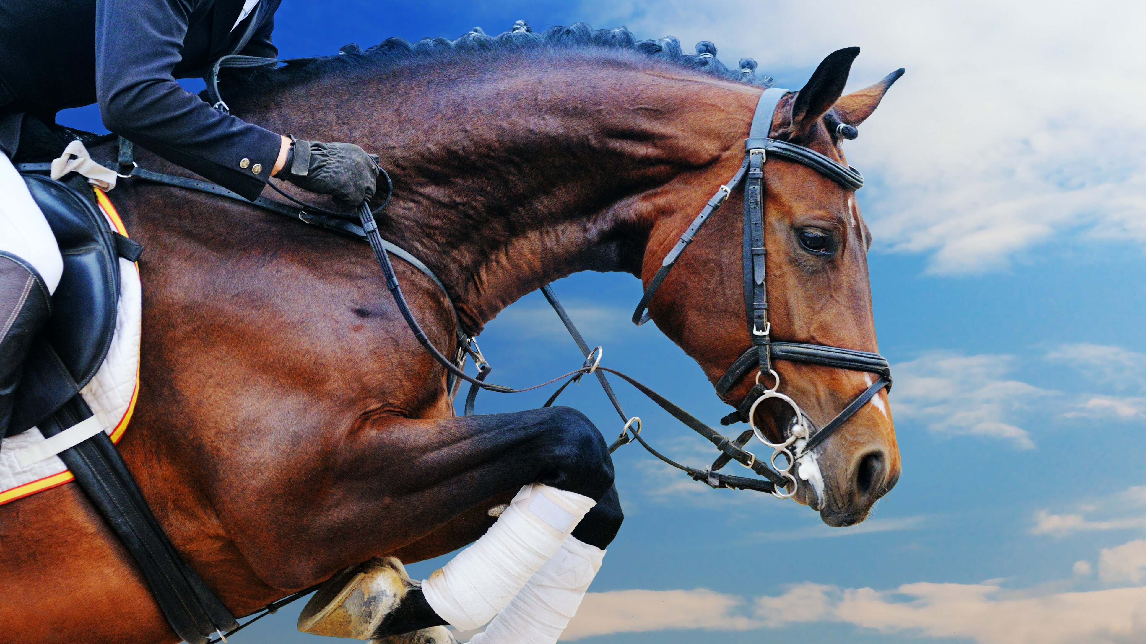 Springreiten: Global Champions Tour