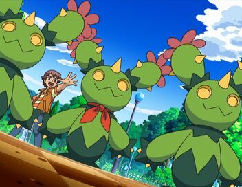 Pokémon : Noir et Blanc
