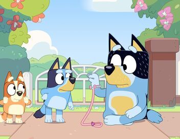 Bluey