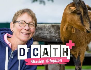Dr Cath : Mission adoption