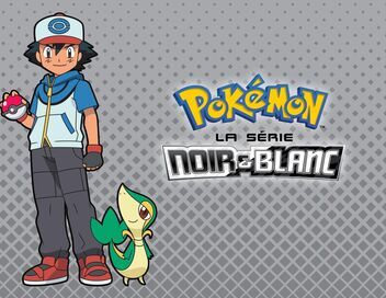 Pokémon : Noir et Blanc