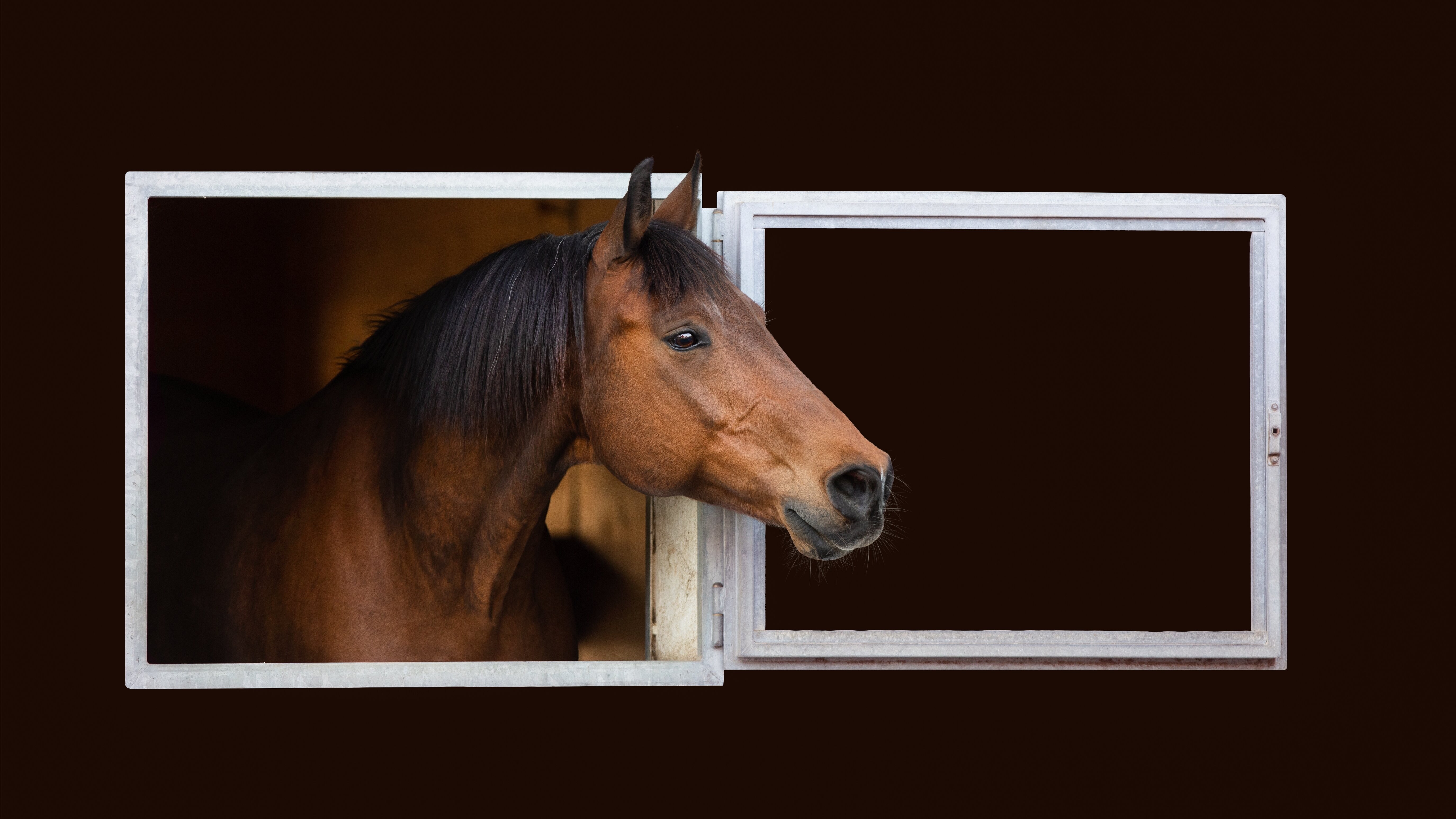 Springreiten: League of Nations