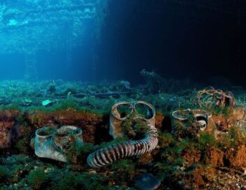 Chuuk : au coeur des vestiges de l'histoire