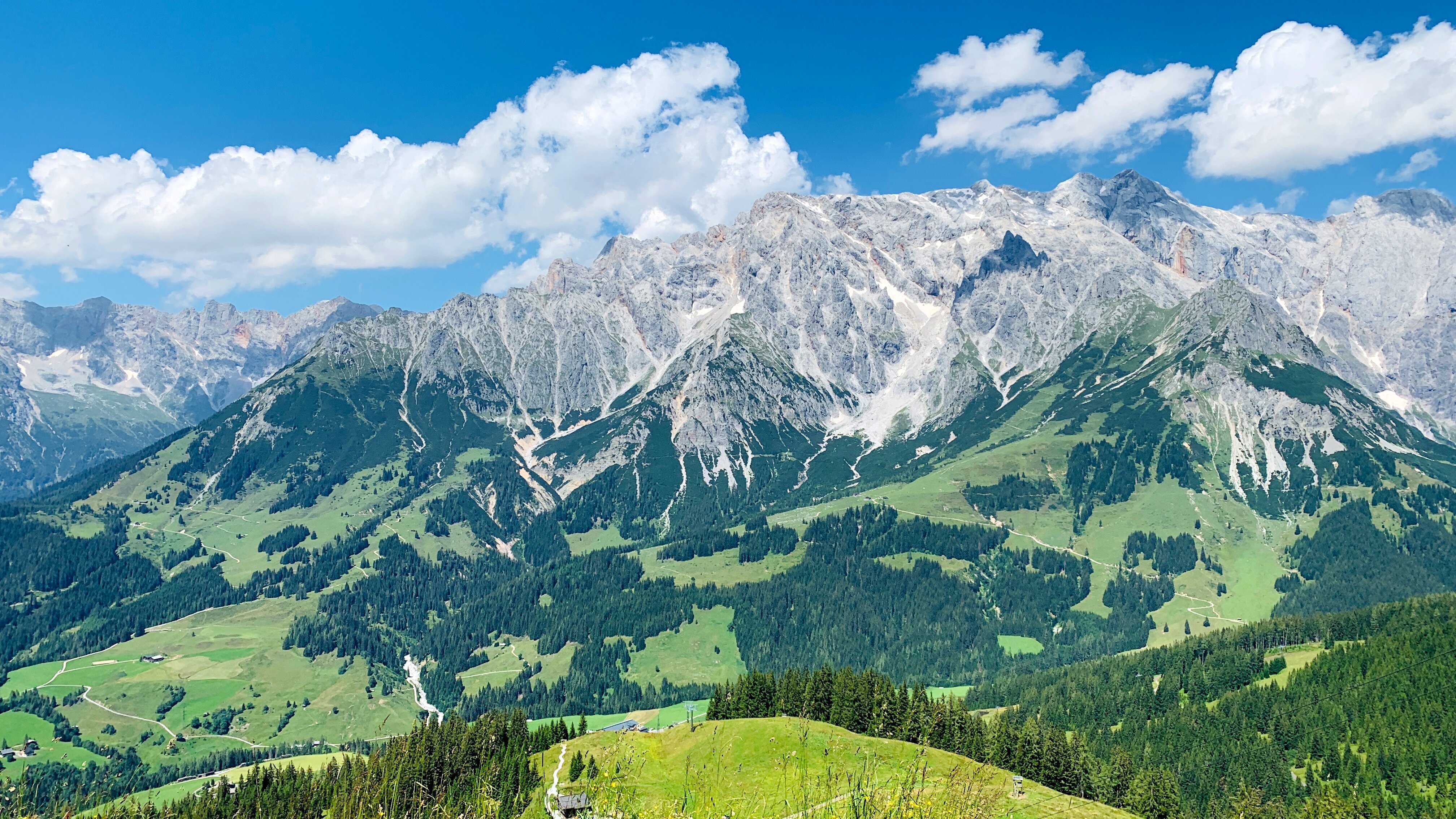 Zurück zur Natur