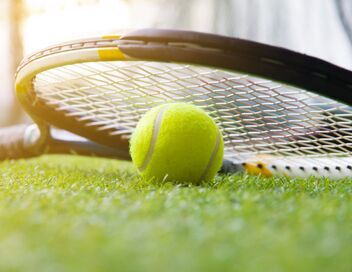 Paratennis : Open du Loiret