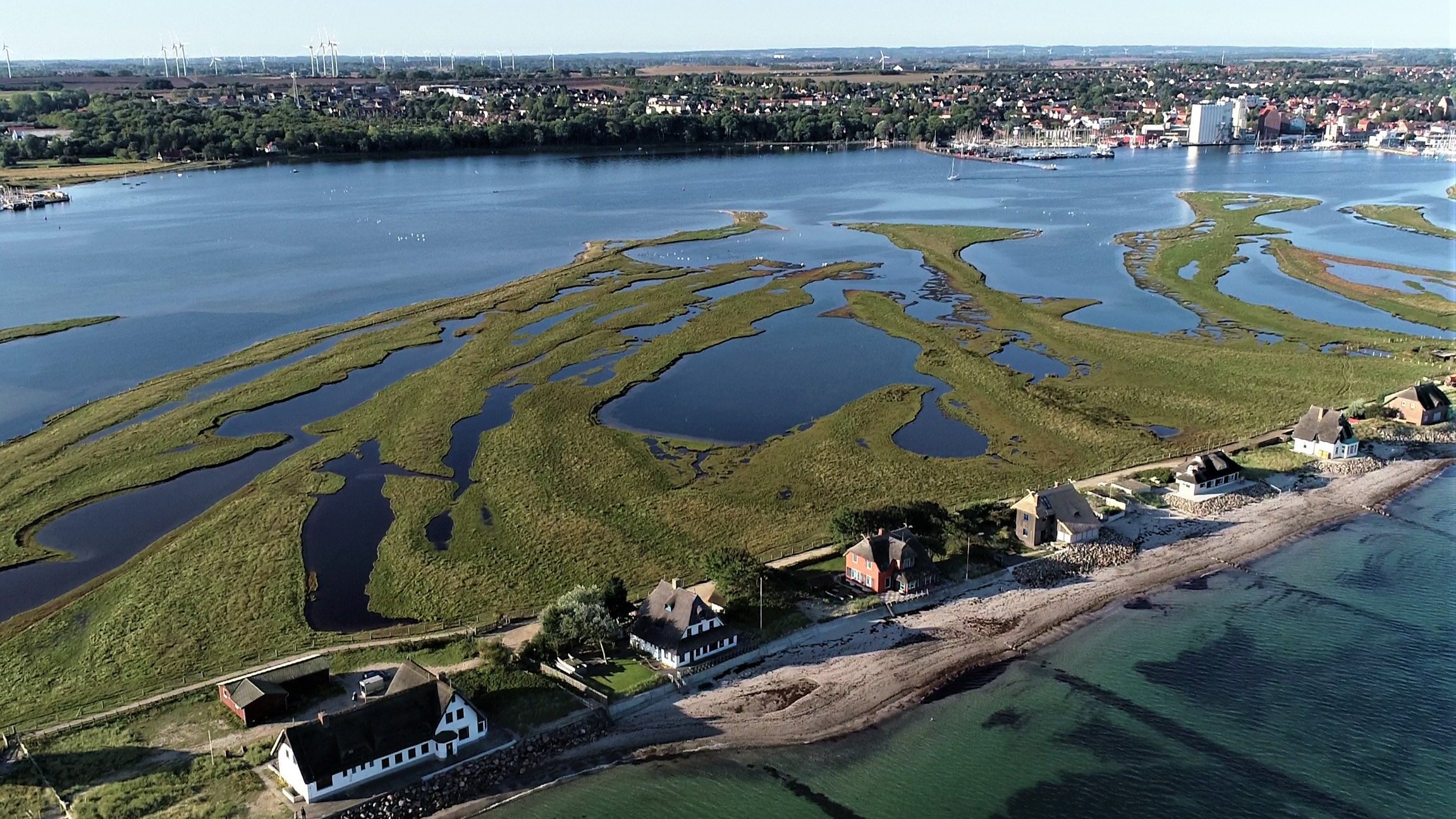 Die Lübecker Bucht – Überraschend wild