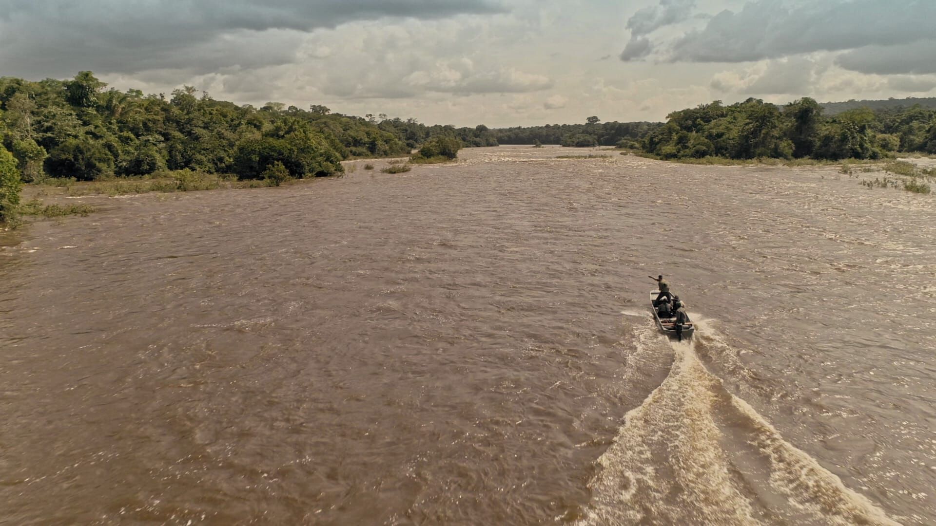 Giganten unter Wasser – Riesenfischen auf der Spur