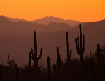Les parcs nationaux américains : 150 ans au service de la nature