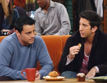 Friends