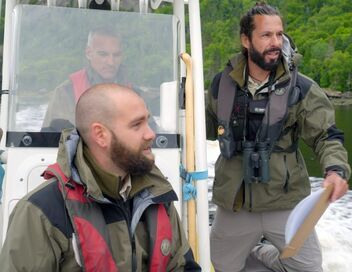 Les parcs nationaux canadiens