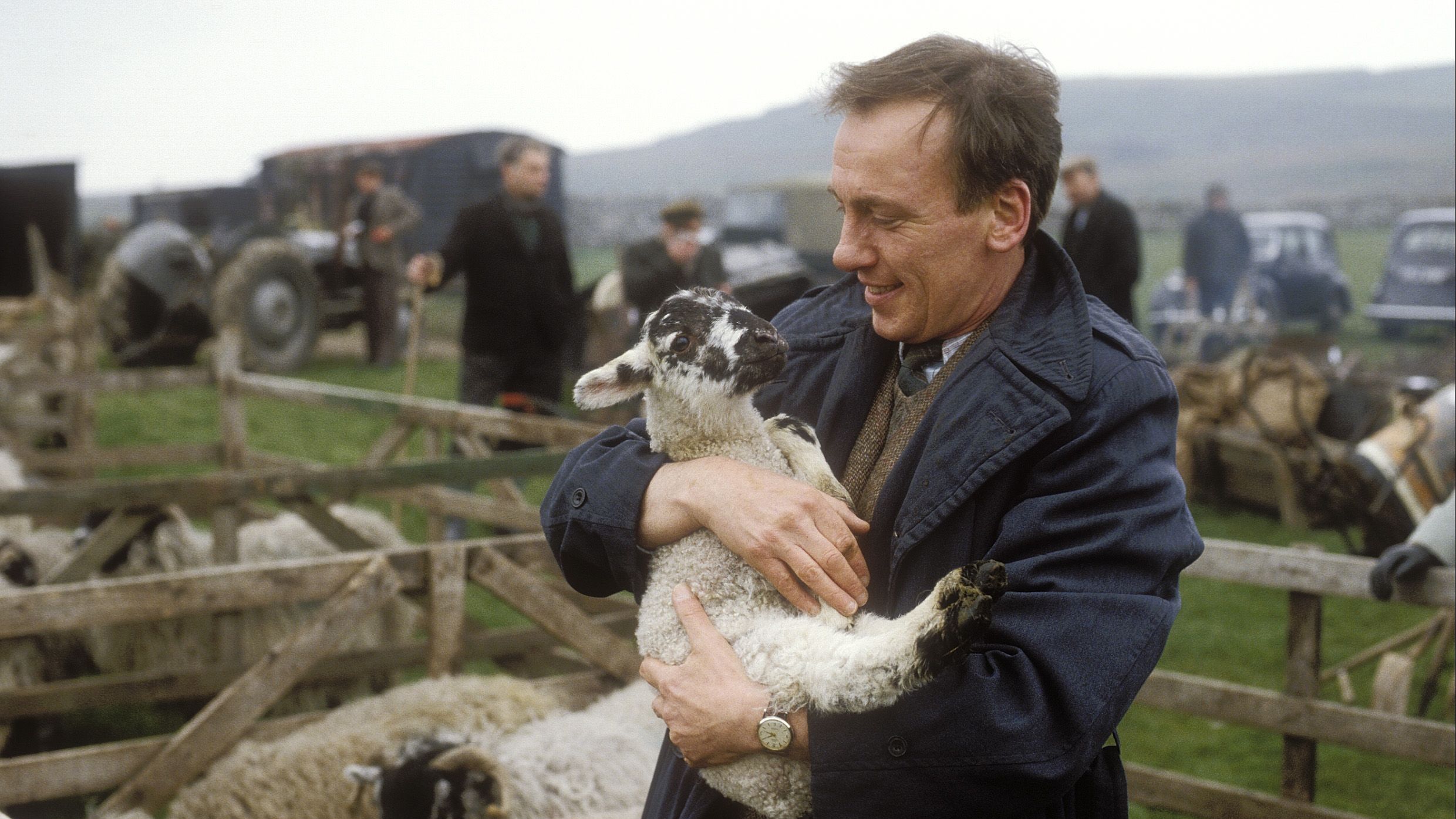 Der Doktor und das liebe Vieh