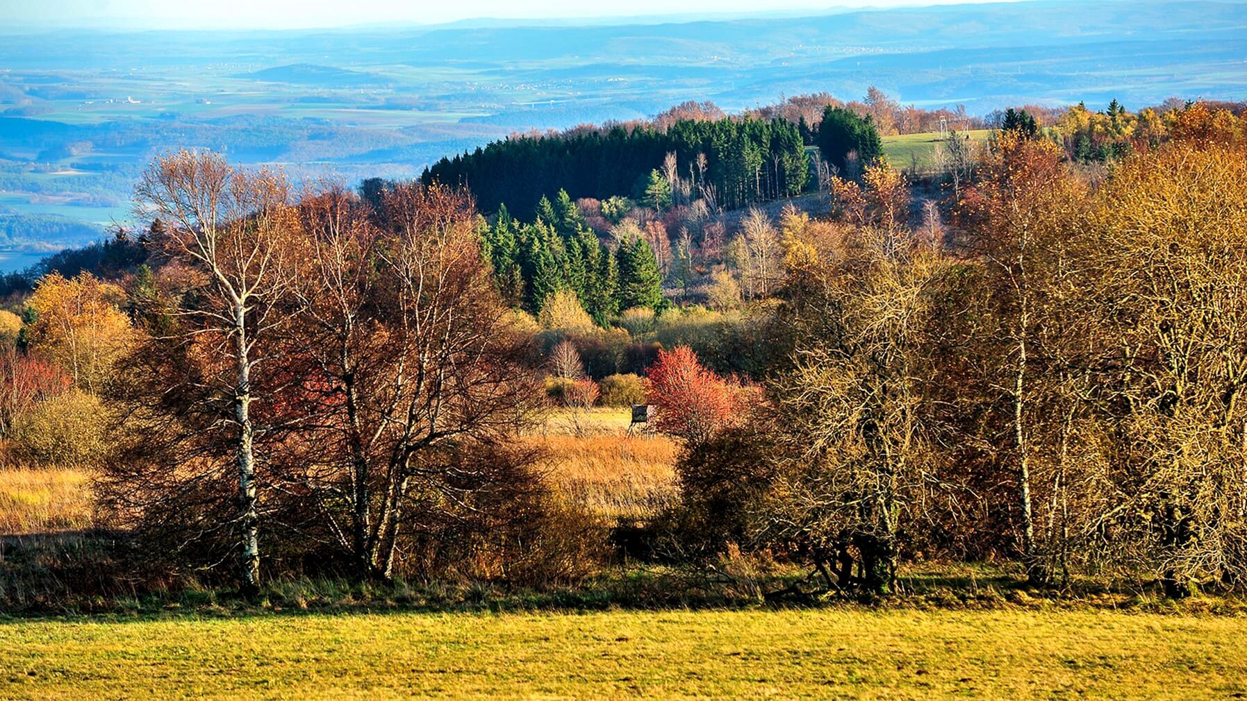 Wildes Deutschland – Die Rhön