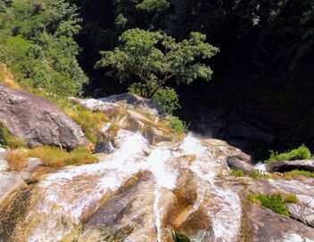Les nouveaux sanctuaires de la nature